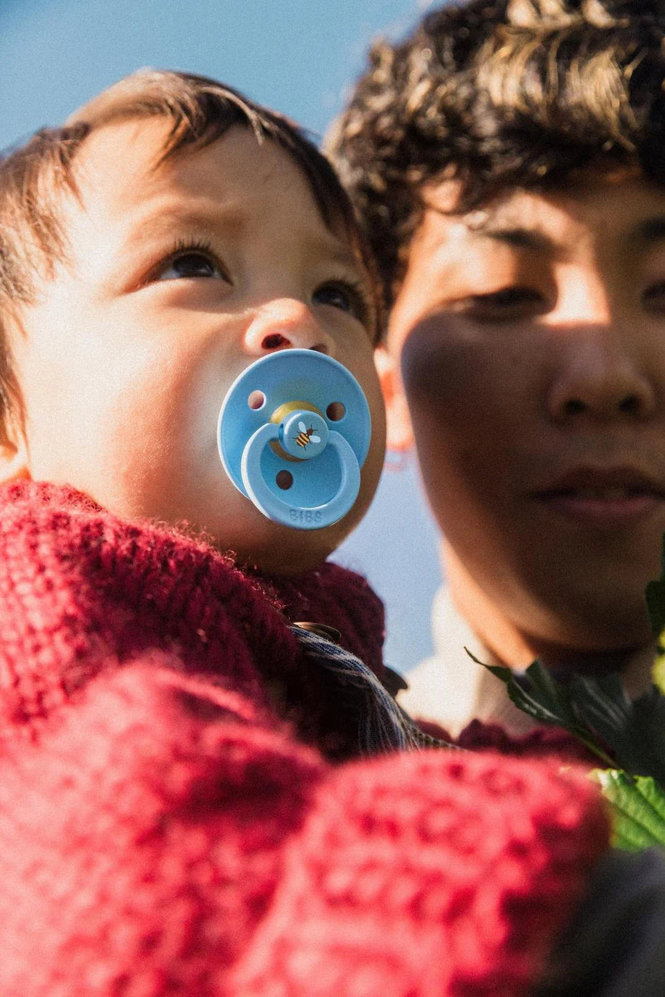 BIBS Urban Garden - Bumblebee Breeze Mix